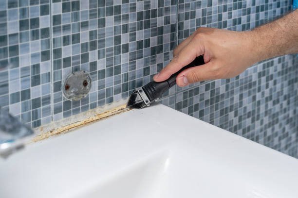 Best Toxic Mold Removal  in Macedonia, OH